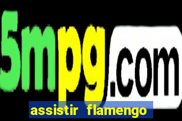 assistir flamengo futebol play hd